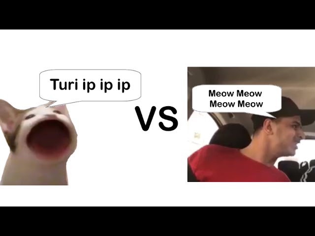 Turi ip ip ip vs meow meow meow