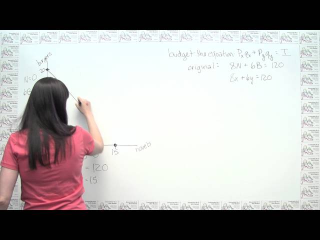 Microeconomics Practice Problem - Graphing the Budget Line
