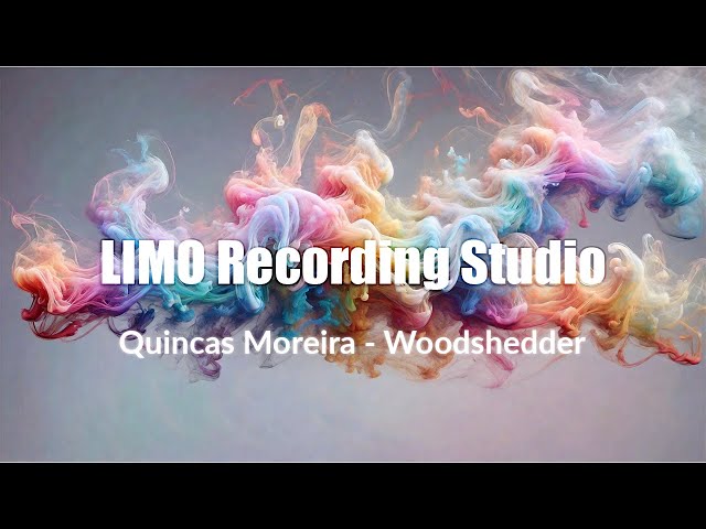 Quincas Moreira - Woodshedder (No Copyright Music)