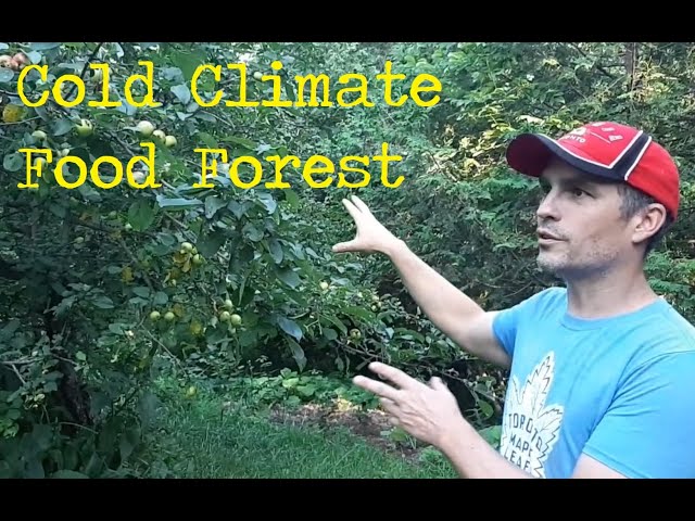 Cold Climate Food Forest  - Canadian Permaculture Legacy