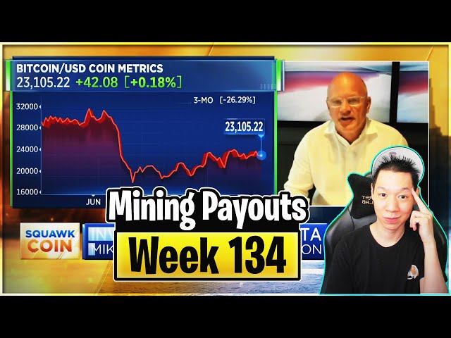 Weekly Mining Payouts 8/8/22 | Week 134