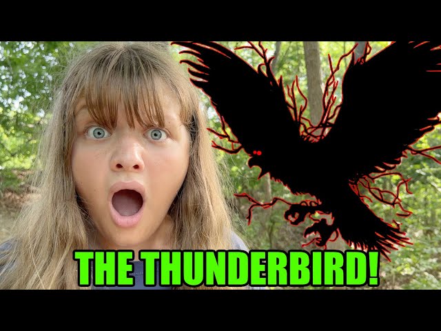 THUNDERBIRD SIGHTING! THE LEGEND OF THE MYTHICAL GIANT THUNDER BIRD! (SCARY)