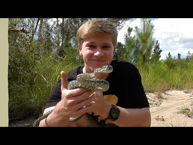 Robert and Terri release a sneaky snake | Irwin Family Adventures