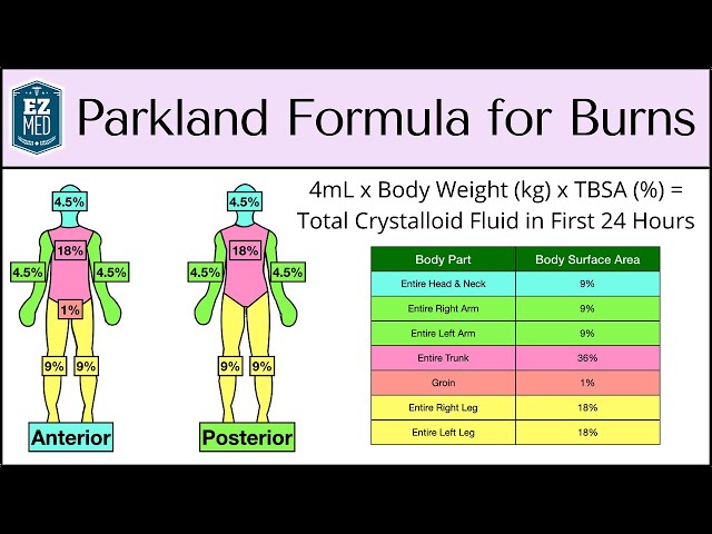 Parkland Formula for Burns: Adult & Pediatric Fluid Resuscitation [Nursing]