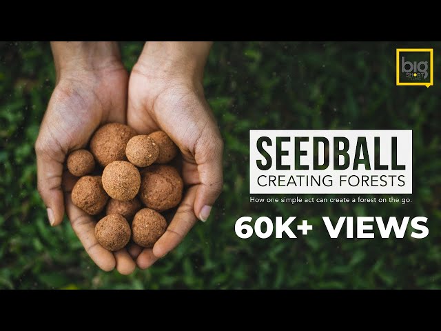 SEED BALL | Story of Creating Forests through SeedBalls
