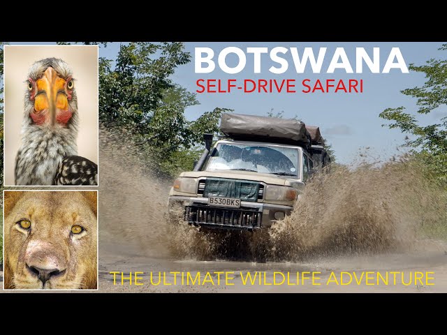 BOTSWANA TRAVEL DOCUMENTARY - 4x4 Self Drive Safari - amazing rainy season adventures in Africa