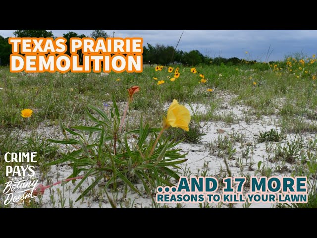 Texas Prairie Demolition Bonanza