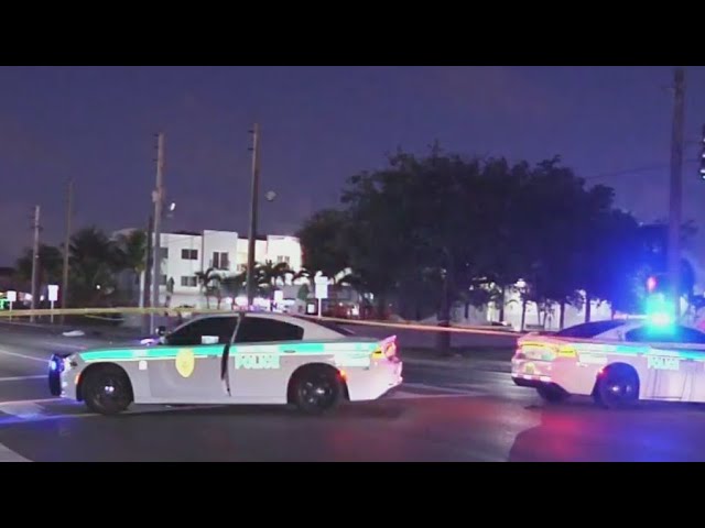 Witnesses horrified by hit and run crash that killed woman in Golden Glades