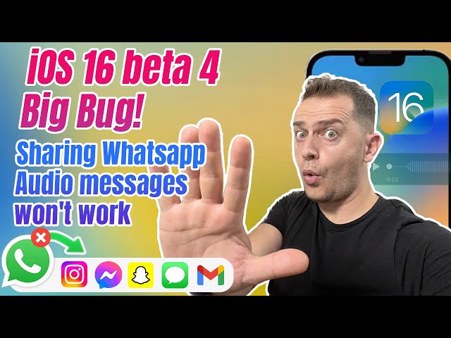 (iOS 16 Beta 4 Bug) Sharing WhatsApp Voice Messages wont work it will crash  #Shorts
