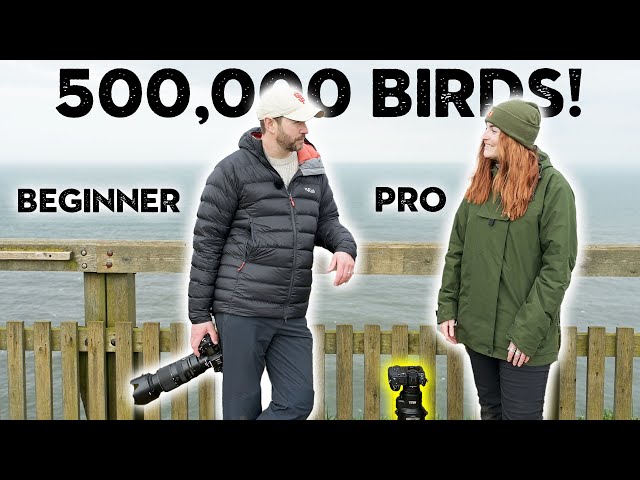 Pro BIRD PHOTOGRAPHER SHARES HER SECRET TIPS with me