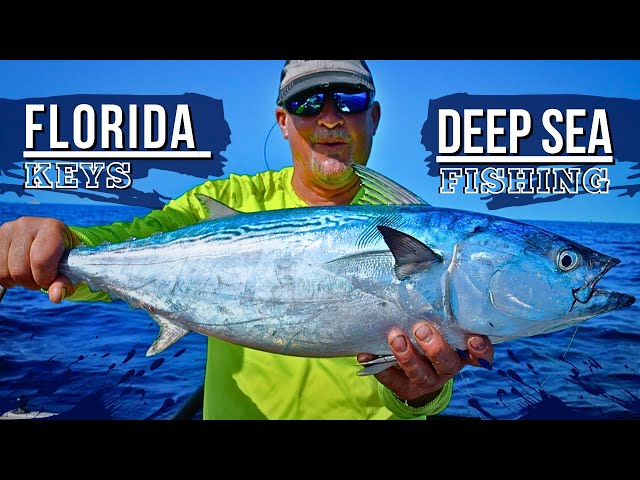 Deep Sea Fishing off the Florida Keys!