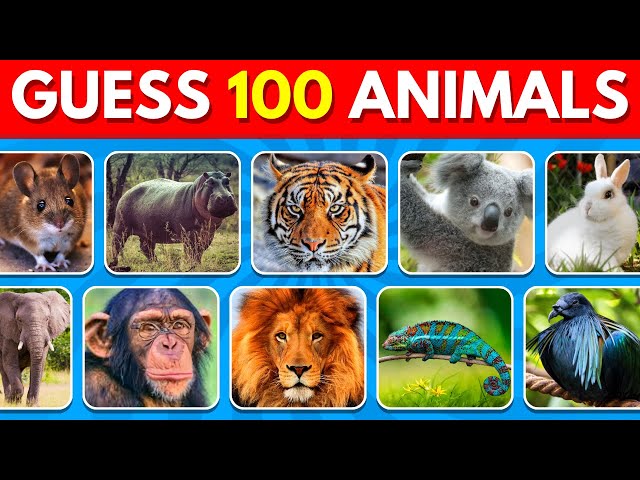 Guess 100 Animals in 3 Seconds | Guess the Animal Quiz!