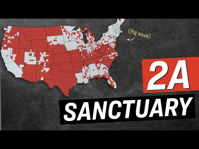 Globalists PANIC as 61% of US Counties Become ‘2nd Amendment Sanctuaries’ | Facts Matter