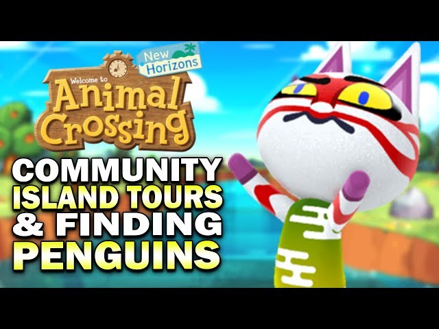 We NEED More Penguins & Squirrels! Rare Islands & Villagers - Animal Crossing New Horizons Gameplay
