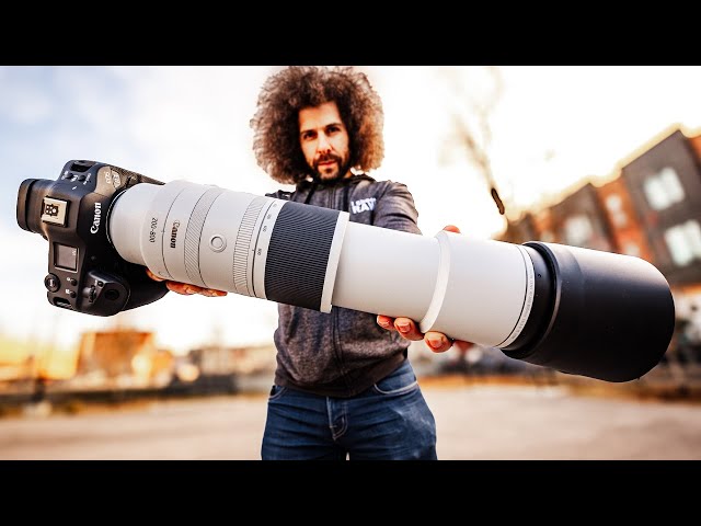 Canon RF 200-800 REVIEW: The ULTIMATE “Budget” Wildlife SUPER ZOOM Lens?!
