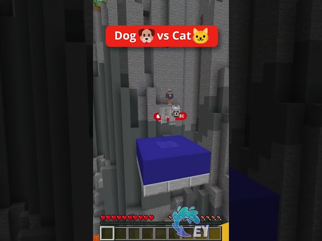 Dog 🐶 vs Cat🐱 Parkour in Minecraft!