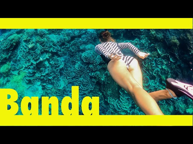 Diving deep into Banda, Indonesia. (Learning By Doing Ep164)