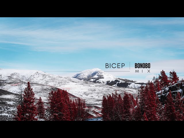Bicep | Bonobo - Mix (Pt.1)