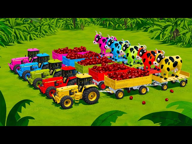 TRANSPORTING GIANT COWS & RED BEANS WITH JOHN DERRE TRACTORS AND CASE LOADERS - Farming Simulator 22