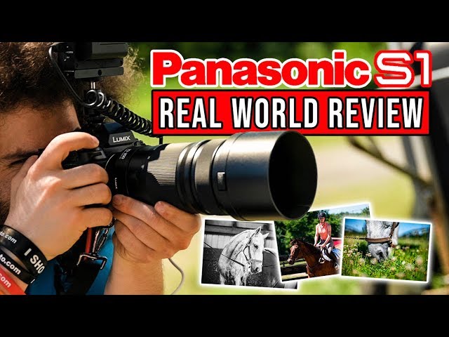 Panasonic S1 Real World Review | Better than Sony a7 III, Nikon Z6, Canon EOS R?
