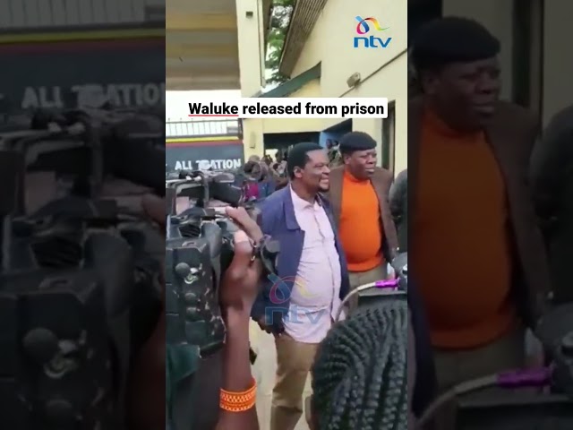 MP John Waluke walks out of prison after being released on KES 10M cash bail