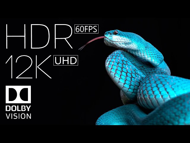 DOLBY VISION 4K 8K 12K HDR 60FPS UHD Oled Deep Color Test | „DaLaMo“