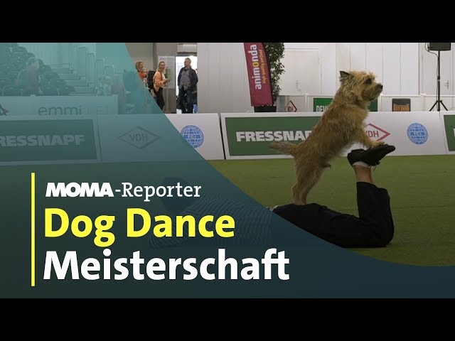 Dog Dance Meisterschafen in Dortmund  | ARD-Morgenmagazin