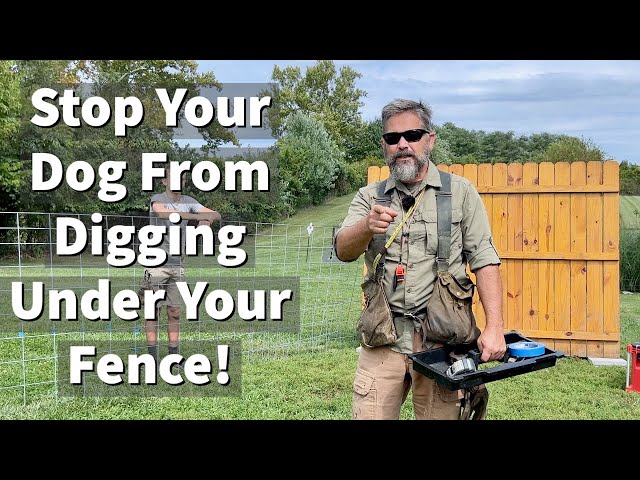 How To Keep Dogs From Digging Under The Fence & Escaping Your Yard
