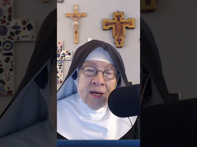 Nun Explains What Catholics Believe About The Immaculate Conception of Mary...