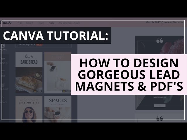 Canva Tutorial: How To Design Gorgeous Lead Magnets And PDF's