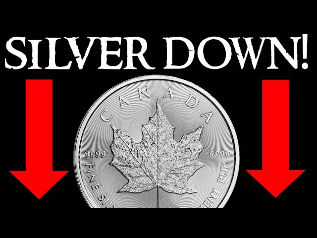 Why is Silver Price DOWN Today When Inflation is Raging?!?