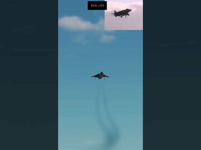 Harrier Demo - THE TWIRL | DCS Vs Real Life