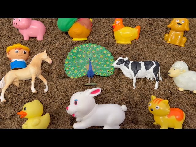 Farm Animal Surprise Toys Buried in Sand and Washed