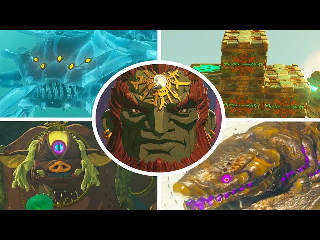 Zelda: Tears of the Kingdom - All Bosses (No Damage)