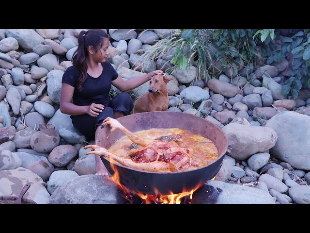 Survival cooking - Chicken curry spicy delicious with fish for dinner & Eating with dog
