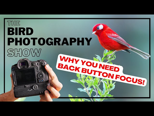 Why YOU NEED Back Button & DOUBLE Back Button Focus & Why You will NEVER go back!
