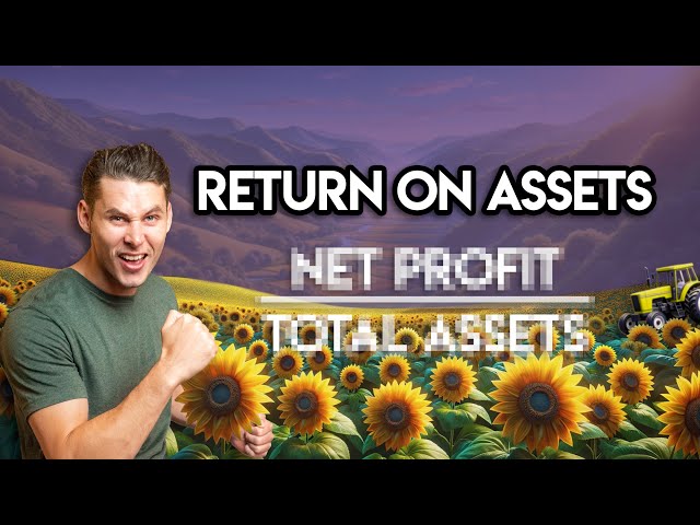 RETURN ON ASSETS: a Quick & Easy Guide