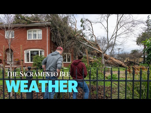 Take A Look At Storm Damage In The Sacramento Area After Rain, Gusts Up To 70 MPH