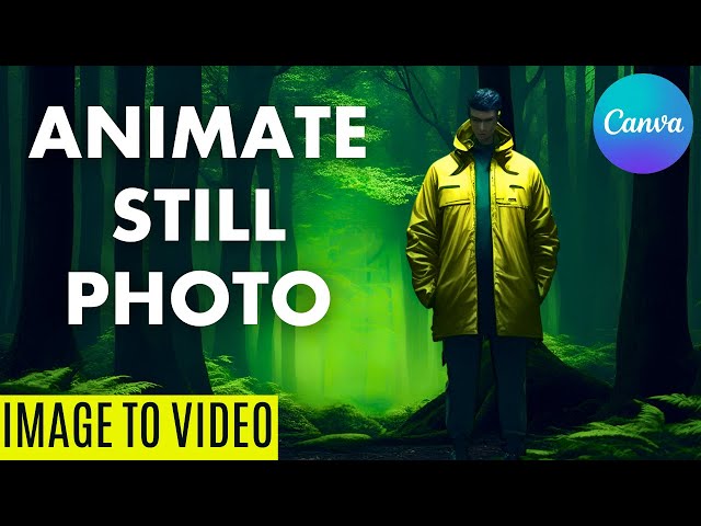 How To Animate a Still Image in canva - Image to Video