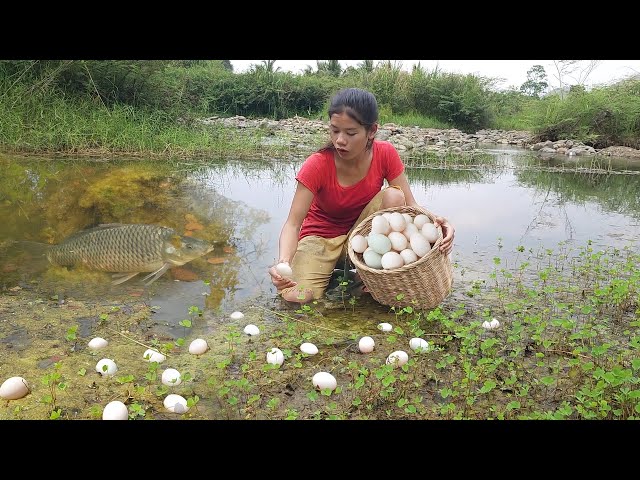Pick Duck egg in river for survival food, Cooking Egg with spicy chili So delicious food for lunch
