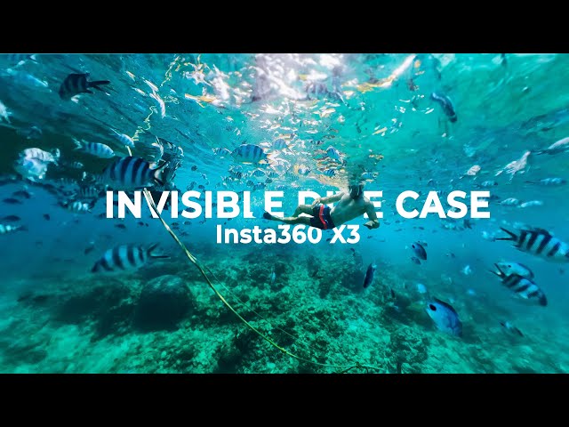 Insta360 X3 Invisible Dive Case | Best underwater camera 2024