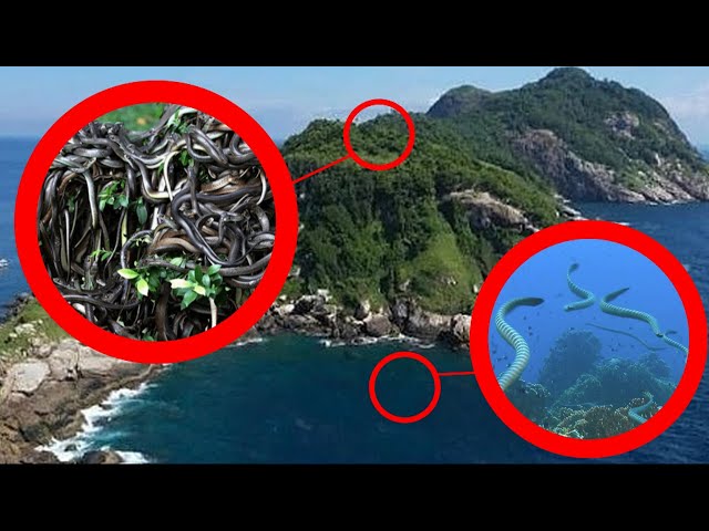 TOP 10 MOST FORBIDDEN LOCATIONS ON EARTH! (DANGEROUS TRESPASSING)