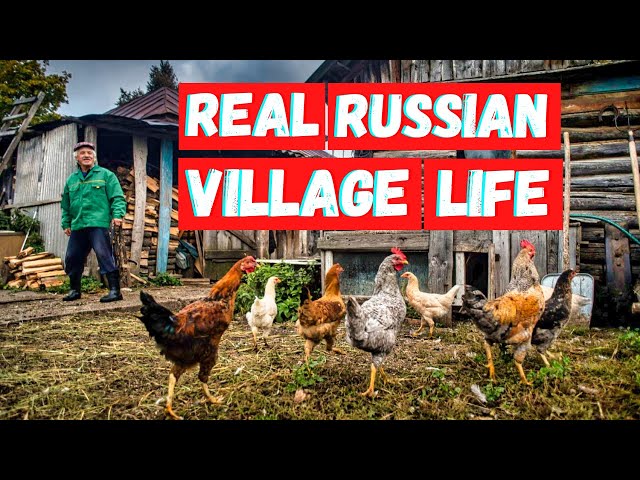 Real Russian Countryside | Russian Village