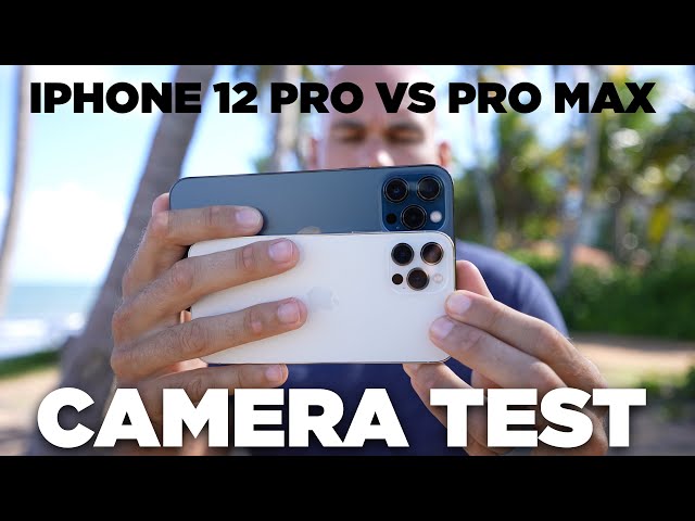 iPhone 12 Pro Vs Pro Max Camera Comparison: Almost Identical