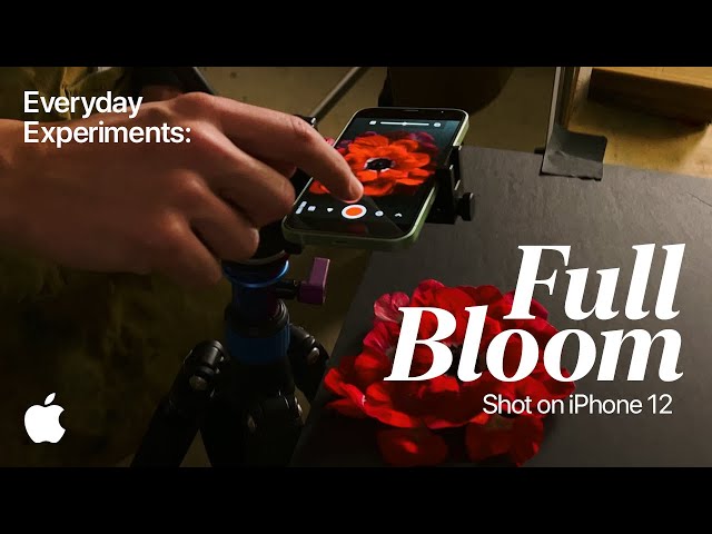 Shot on iPhone 12 | Everyday Experiments: Full Bloom | Apple