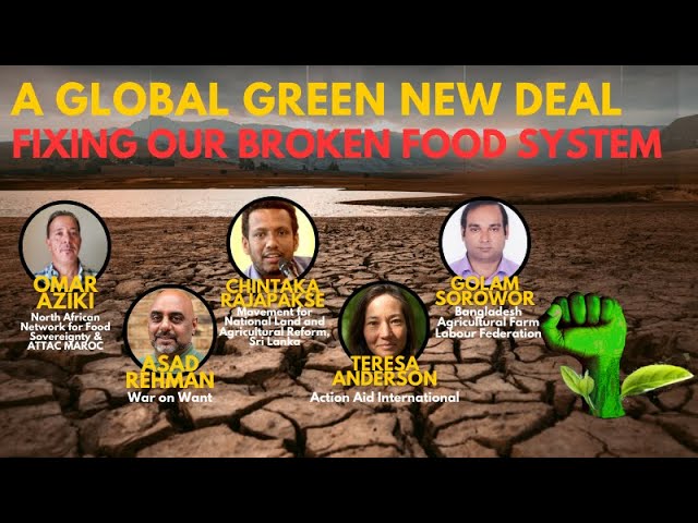 A Global Green New Deal: Fixing our Broken Food Systems (English)