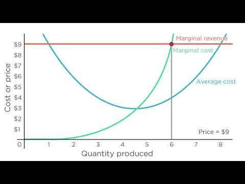 AP Test Prep: Producer Theory and Graphs