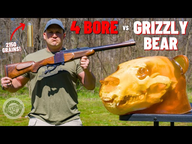 4 BORE Rifle vs Grizzly Bear 🐻 (The Biggest Rifle Ever !!!)
