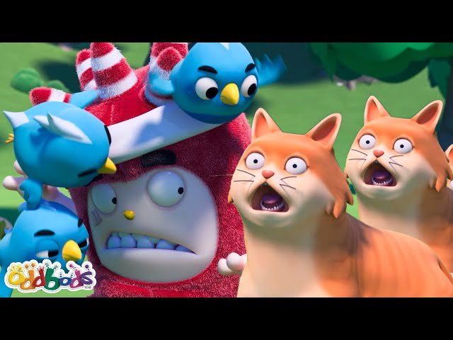 Meow Meow Meow crazy day! | Kids TV Shows | Cartoons For Kids | Fun Anime | Popular video