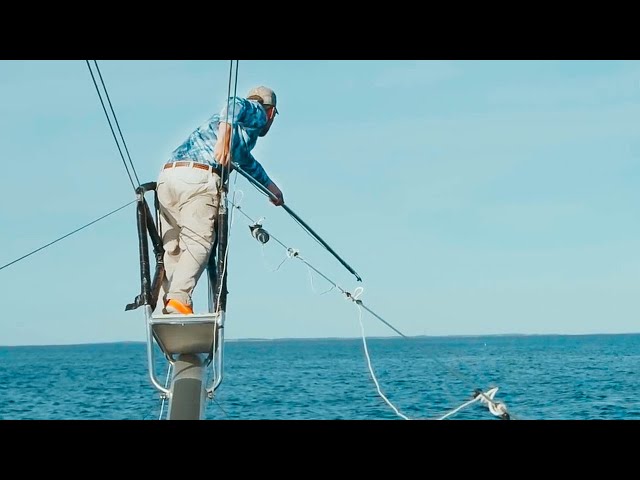 HARPOONING Bluefin Tuna in Cape Cod w/ Tyler Macallister